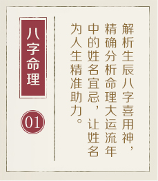 东营起名流程一